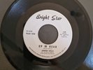 Junior Wells - Up In Heah - Bright Star 149 White Demo