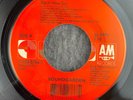 SOUNDGARDEN Black Hole Sun / Spoonman 45 A&M 31458 0766 7 NEW UNPLAYED