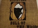 13th Floor Elevators Bull Of  The Woods Vinyl Lp