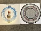 Biffy Clyro | A Celebration of Endings | Zoetrope Vinyl 12