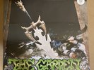 The Garden - Kiss My Super Bowl Ring LP Green Vinyl  New & Sealed