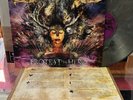 Protest the Hero: Fortress LP Gray splatter vinyl