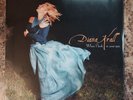 Diana Krall – When I Look In Your Eyes, Sealed Vinyl Records * 602547377043