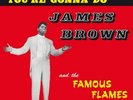 James Brown Tell Me What You're Gonna Do (Vinyl) 12