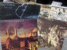 Led Zeppelin III Black Sabbath Live Evil Pink Floyd Animals Beater Record Lot