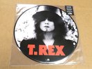 T-Rex The Slider Import Picture Disc LP New / Unplayed Free Shipping