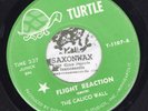 Rare Psych Garage 45 THE CALICO WALL Flight Reaction / Beep TURTLE VG+ Hear