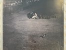 John Zorn Naked City LP New Sealed Vinyl Record