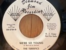 THE TERRIFICS   We're So Young / I'll Get Him Back  Diamond Jim northern soul 45