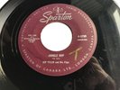 Rare Canada 1958 Rock 45 *Kip Tyler and His Flips* Jungle Hop  Sparton