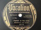 Memphis Jug Band Vocalion 03175 Fishing in the dark 78 RPM Blues Record E- Rare