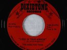 Garage 45 - Merlynn Tree - Look In Your Mirror - Dixietone - rare