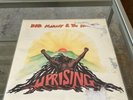 Bob Marley & The Wailers 