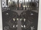 Black Pumas - Chronicles of a Diamond Silver Vinyl Signed Autographed Of 500