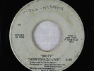 Psych Folk Downer 45 - Britt - How Could I Live - Private - obscure