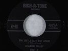 Rockabilly 45 - Sharon Tolley - Little But I'm Loud - Rich-R-Tone - VG+ obscure