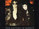 The Sisters Of Mercy THIS CORROSION Australian 1987 WEA Records RARE 7