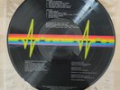 Pink Floyd The Dark Side Of The Moon LP Picture disc  RARITA' (note)