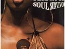 Pete Rock - Soul Survivor '98 2xLP US ORG VG/VG+