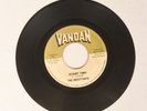 The Sweettarts So Many Times & You Don't Have to Hurt Me Vandan  Texas Garage 45