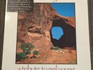 The Bridge: A Tribute To Neil Young 1989 Vinyl Caroline CAROL 002 In Shrink