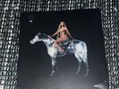 Beyoncé Renaissance Collector's Edition Double Vinyl LP  Sealed Brand New Boxset