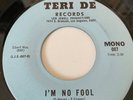 NORTHERN SOUL-SONNY CRAVER-I'M NO FOOL-ORIGINAL USA TERI DE RECORDS LBL MINT-