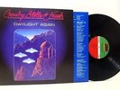 CROSBY STILLS AND NASH daylight again (180g 2018 remastered) LP EX/EX, vinyl,