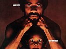 Bobby Lyle - New Warrior - Used Vinyl Record - Z15851z