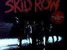 Skid Row - Skid Row EU LP 1989 + OIS (VG+/VG) Atlantic 781 936-1 .*