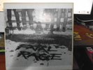 Fatal Rage Lp Mutha Records MINT