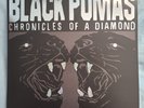 Black Pumas - Chronicles of a Diamond LP (Limited Silver Edition, with Poster)