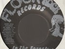 THE ORIGINAL BLACK SHEEP IN THE FOREST b/w LOVE SONG FLOCK ROCK UNPLAYED PRIVATE