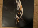 Hard Rock Prog Tear Gas Self Titled Regal Zonophone SLRZ 1021 Alex Harvey MINT