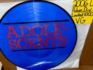 ADOLESCENTS - 2006 THE BLUE ALBUM LP Picture Disc VG Rare Nice Wall Hanger VG