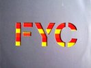 Fine Young Cannibals The Flame 12