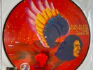 David Bowie -Man Who Sold The World- Record Store Day Picture Disc Vinyl LP RSD