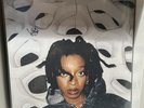 SIGNED LITTLE SIMZ NO THANK YOU Black Yellow Split VINYL RECORD Double LP NEW