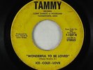 Sweet Soul 45 - Ice-Cold-Love - Wonderful To Be Loved - Tammy