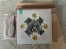 The National - Cherry Tree 5 live at Woodstock sealed 2LP plus socks, postcards