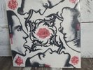 Red Hot Chili Peppers - Blood Sugar 2012 US RE - Vinyl Record LP Indie Punk NM