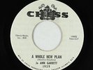 Northern Soul 45 - Jo Ann Garrett - A Whole New Plan - Chess - VG+