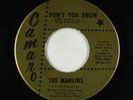 Northern Soul Garage 45 - Marlins - Don't You Know - Camaro - VG+ Style Wooten