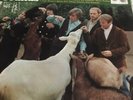 THE BEACH BOYS 