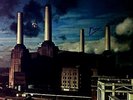 Pink Floyd - Animals ITALY 1st release LP + OIS 1977 (VG/VG) .