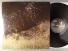 Evergreen Blueshoes  The Ballad Of Evergreen Blueshoes  Folk Rock, Psych