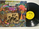 FLAT EARTH SOCIETY WALEECO 1968 LP FLEETWOOD RECORDS FCLP 3027 PSYCHEDELIC ROCK
