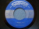 The Passions..I Want You / Mercy, Little Baby..Autograph Garage Rock 45 rpm '64