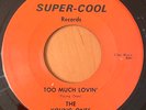 THE YOUNG ONES  Too Much Lovin' / Harbor Melon  SUPER-COOL NC GARAGE 45RPM NM-