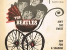 BEATLES * Ain´t She Sweet/ Cry For A Shadow * GDR Amiga Single mit PS Vinyl TOP